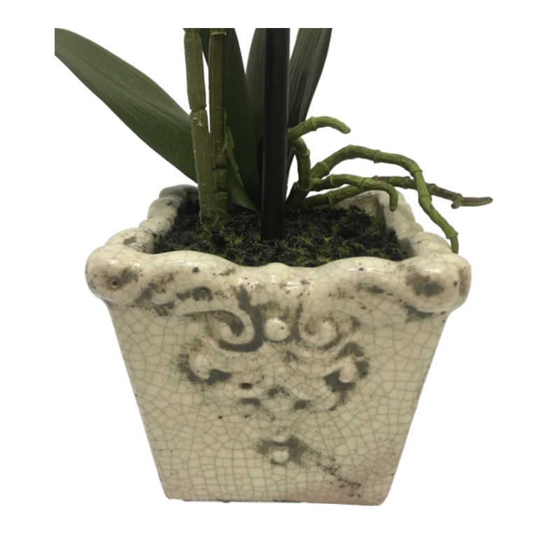 oh00220020 ไม่