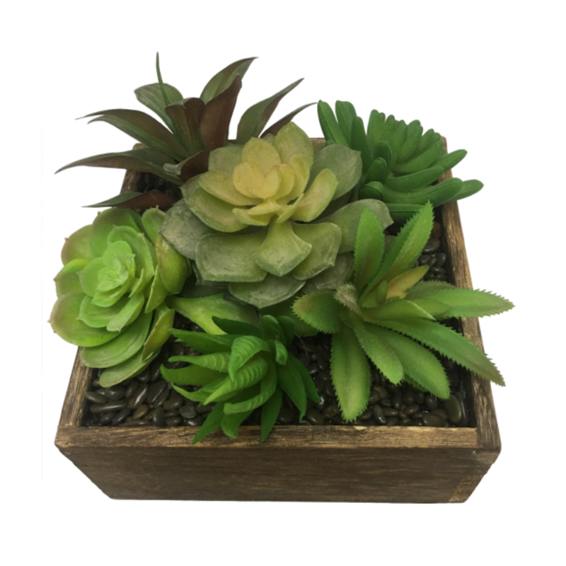 หมายเลข oh0242001