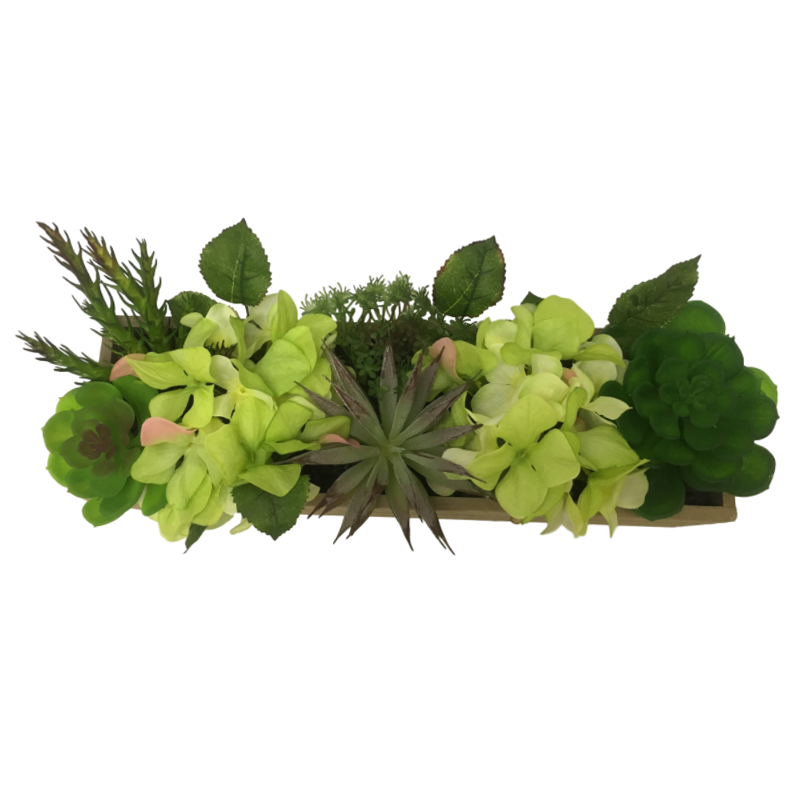 oh006200013 ไม่