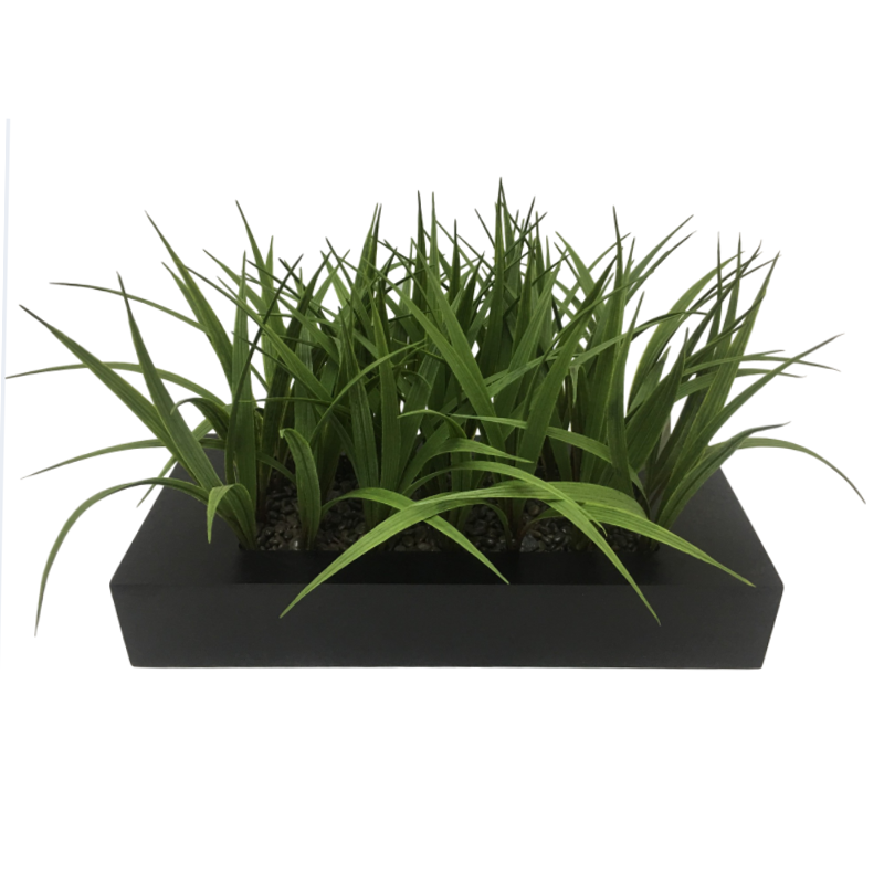 oh02420021 ไม่