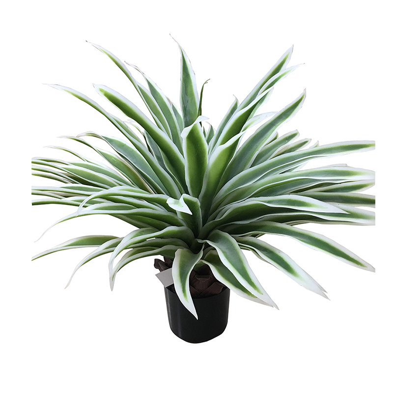 oh10820057 ไม่