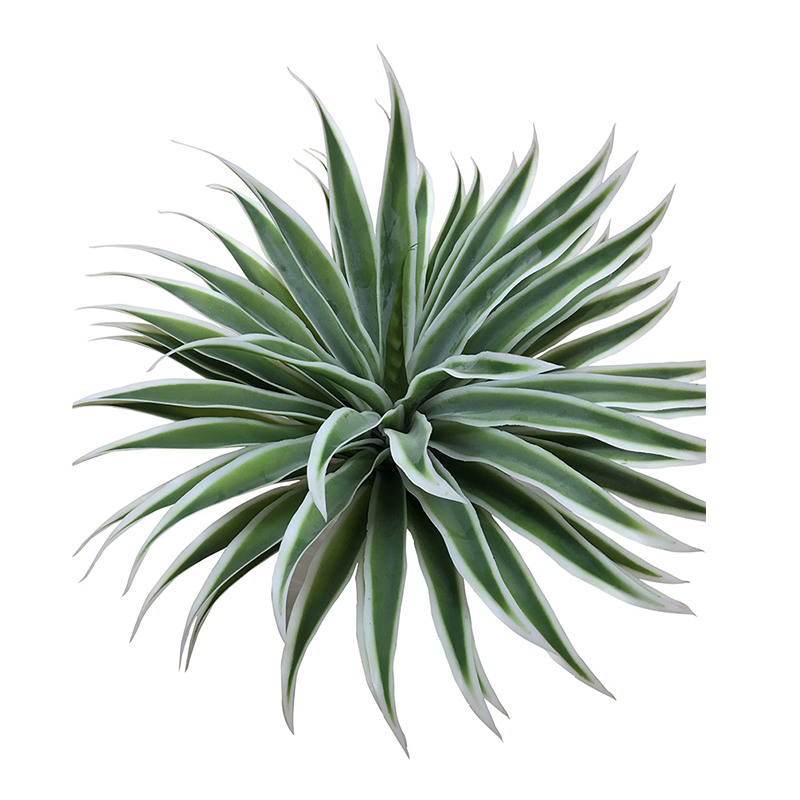 oh10820057 ไม่