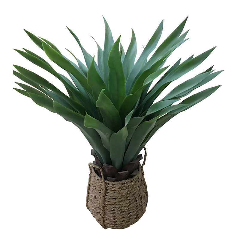 ประเภท oh108200092