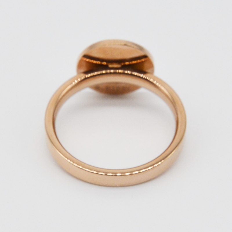 แหวนยางสแตนเลส