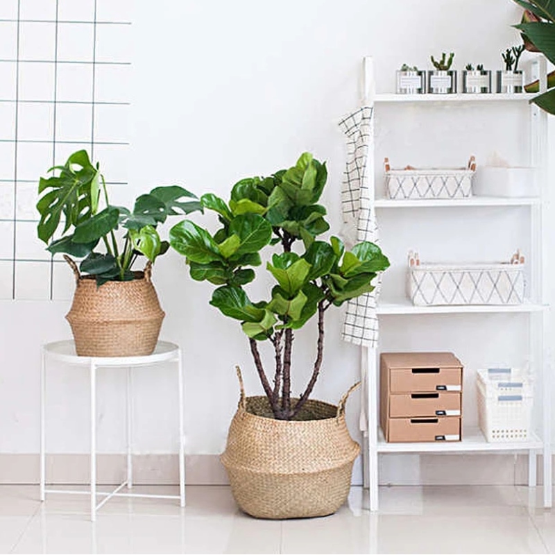 จักสานทอหญ้าทะเลตะกร้าเก็บกระถางดอกไม้กางเกงขาตั้ง