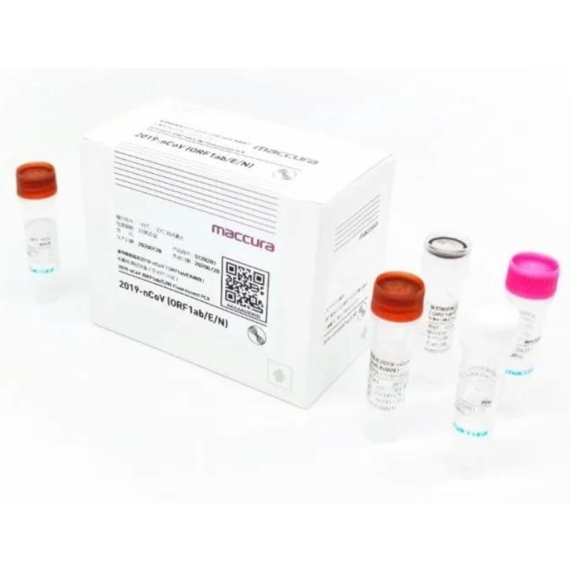 นักวิทยาศาสตร์ได้พัฒนาเทคนิคการตรวจจับแบบใหม่สำหรับ SARS-CoV-2 PCR แบบล็อคอิน