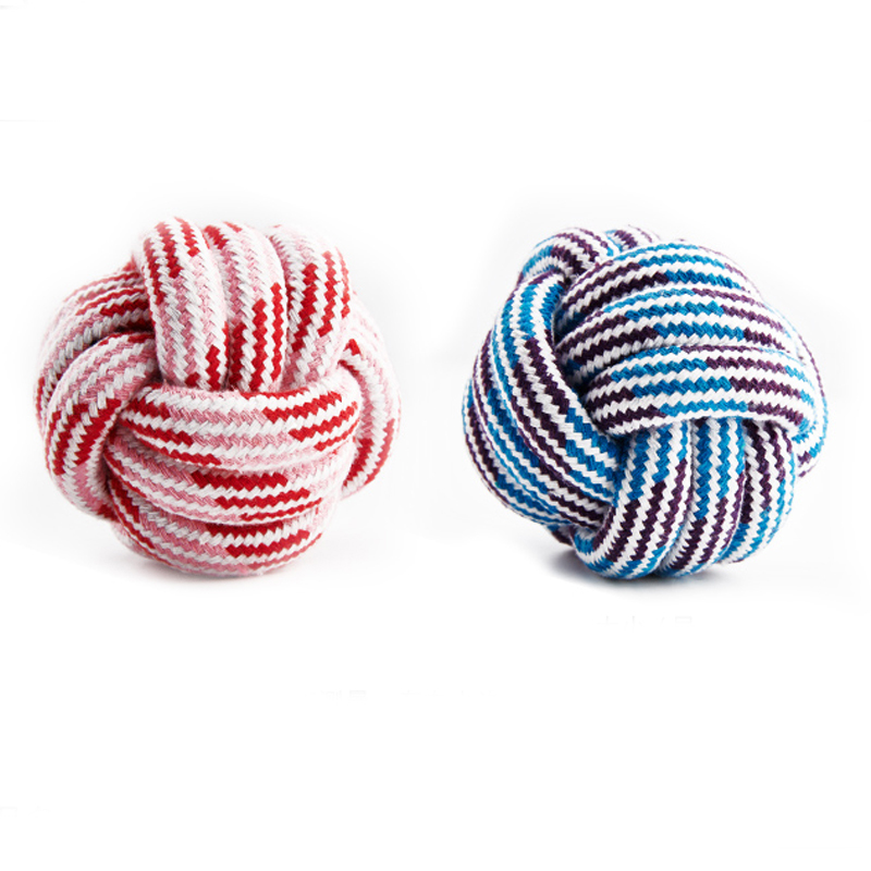 อุปกรณ์สัตว์เลี้ยง