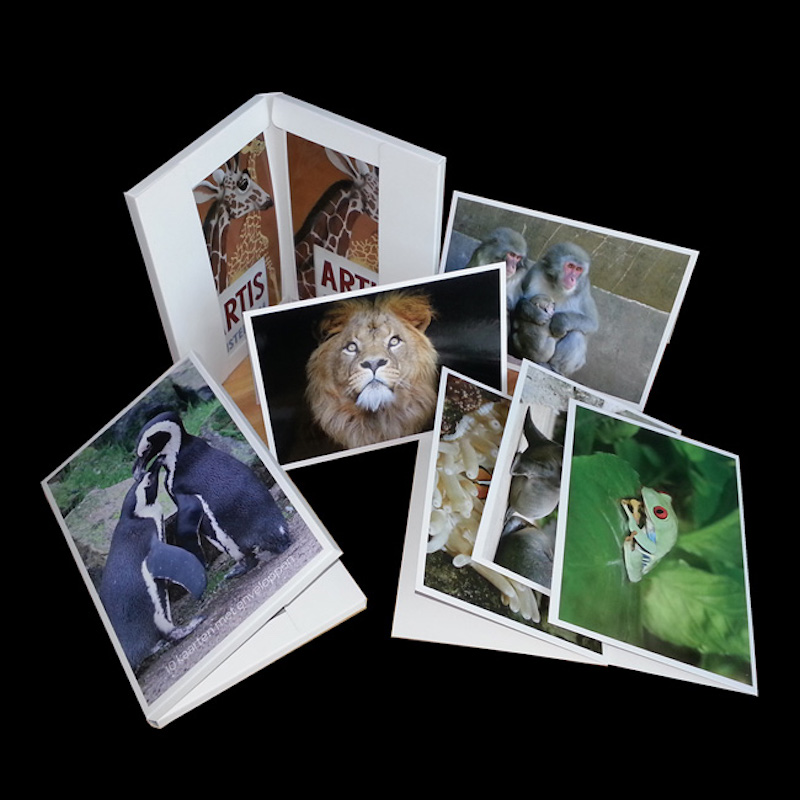 บัตรกระดาษและซองจดหมายสำหรับทุกโอกาส ของที่ระลึกท่องเที่ยว