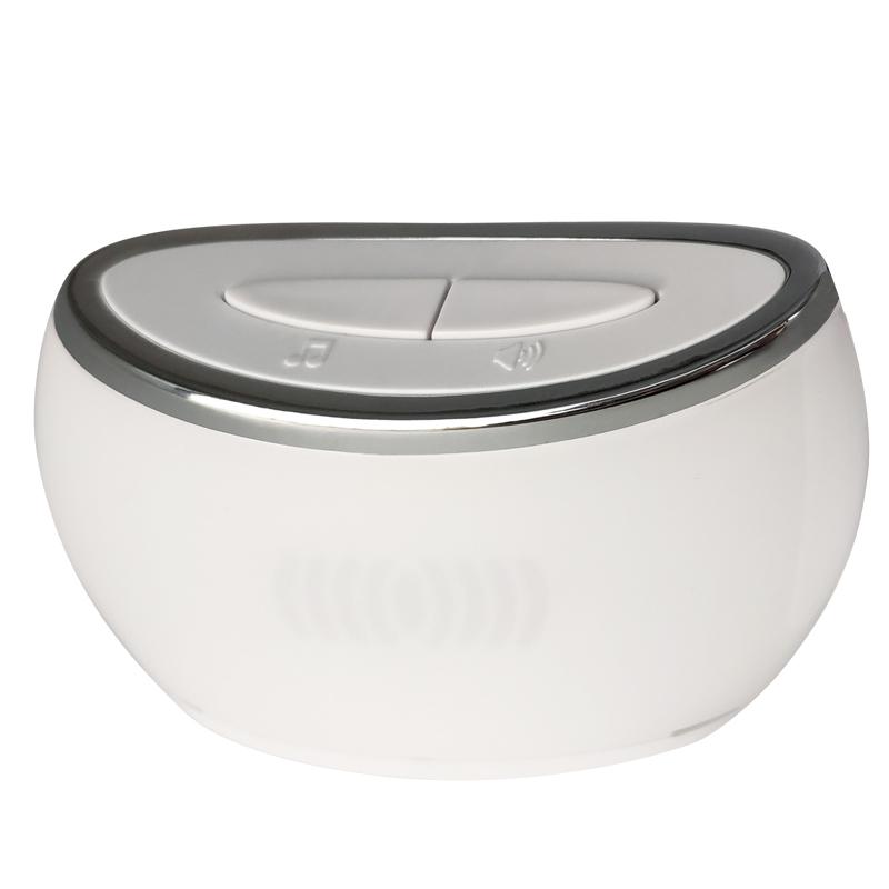 ประตูไร้สาย AG9813I