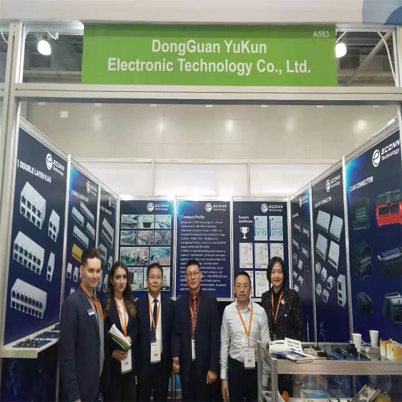 นิทรรศการในรัสเซีย