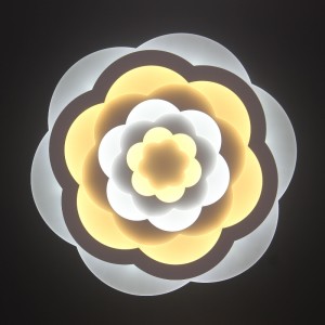 AC805 โคมไฟเพดาน