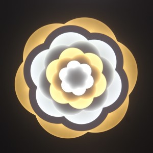 AC805 โคมไฟเพดาน