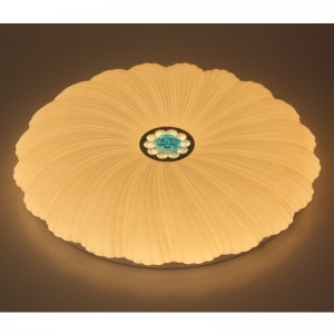 CX202 โคมไฟเพดาน