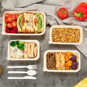 รูปทรงสี่เหลี่ยมเป็นมิตรกับสิ่งแวดล้อมภาชนะเก็บอาหารที่ใช้แล้วทิ้งที่ย่อยสลายได้แป้งข้าวโพด Takeaway ภาชนะบรรจุอาหารย่อยสลา...