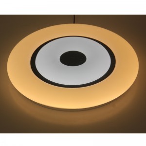 CX369 โคมไฟเพดาน