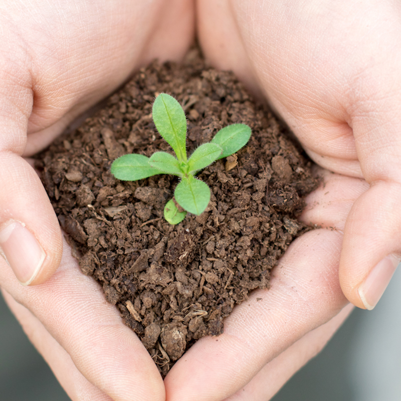 ผลิตภัณฑ์ยอดเยี่ยม