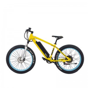 ชื่อผลิตภัณฑ์ S1-X1