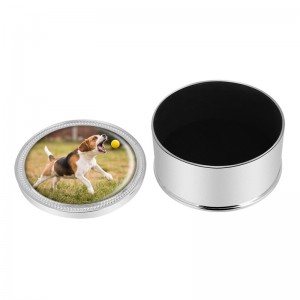 โกศโลหะสำหรับขี้เถ้าสุนัข