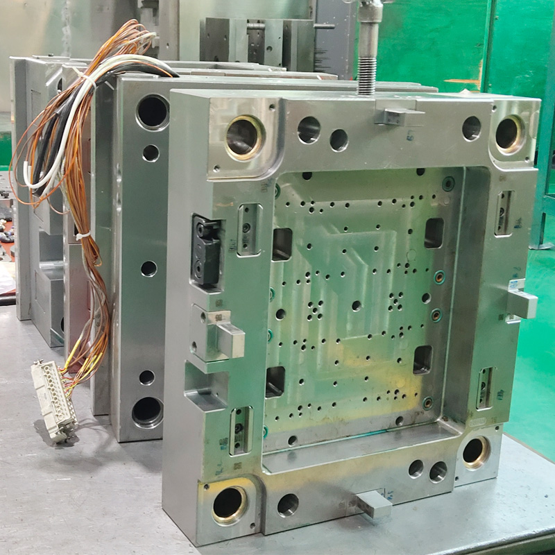 Jiading ส่งเสริมการผ่อนปรนความยากจนผ่านการจ้างงานใน Chuxiong, Yunnan