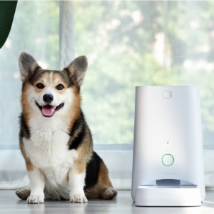 เครื่องป้อนสัตว์เลี้ยง 6L APP