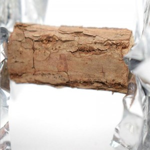 รูปหลายเหลี่ยม sieboldii