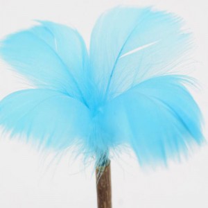 แมวมิ้นท์อมยิ้ม