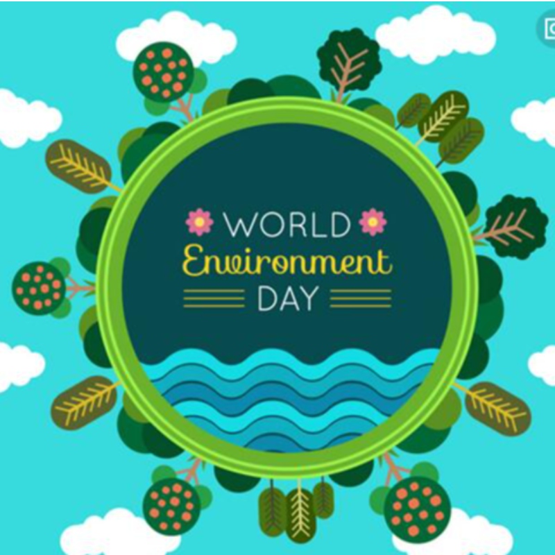 การคุ้มครองสิ่งแวดล้อม