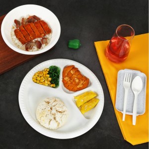 วัสดุ PLA compostable ภาชนะบรรจุอาหารทิ้ง