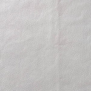 เทคโนโลยีชุดหนังเทียม BNT1936