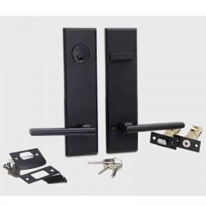 ชุดคันโยกล็อคประตูยาว 6201 ชุดคันโยกท่อที่มีคุณภาพสูงที่ทันสมัย