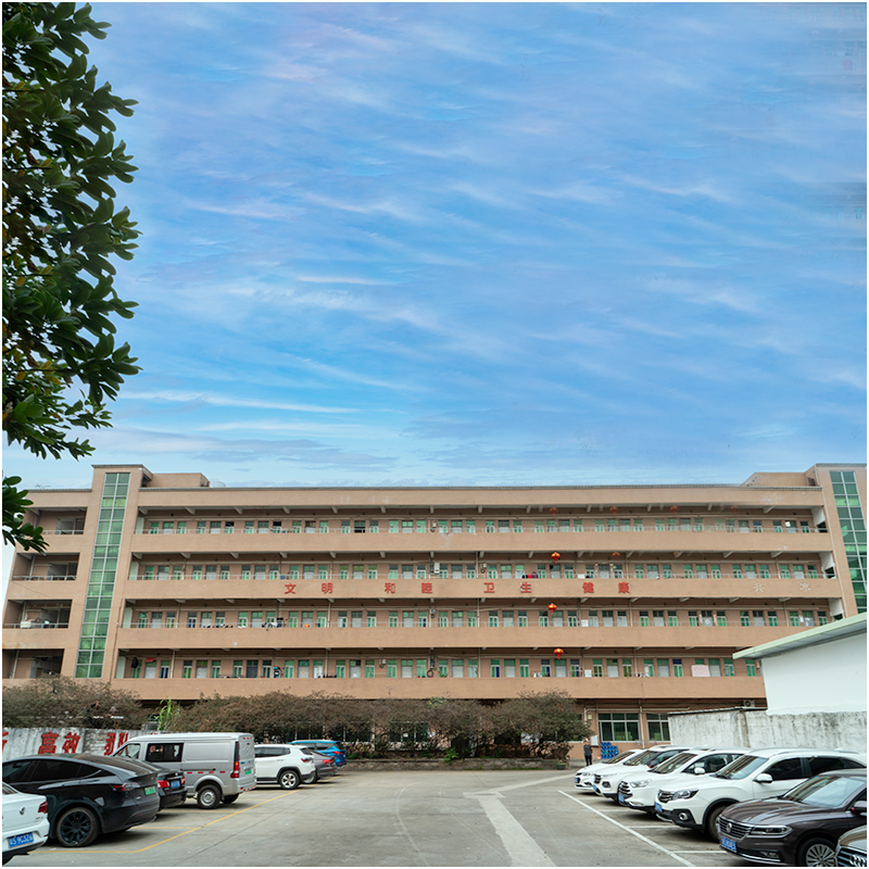 โรงงานแม่พิมพ์ฉีดมีลักษณะอย่างไรในดวงตาของคุณ?