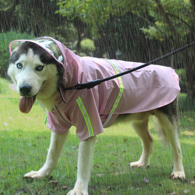จีนแหล่งที่มาของจีน 2022 ใหม่อัพเกรดสุนัขเสื้อกันฝนสุนัขเสื้อกันน้ำชุดสุนัขเครื่องแต่งกาย