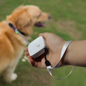 สายจูงสายจูง Mini Retractable Dog Lesh สำหรับแมวตัวเล็ก ๆ