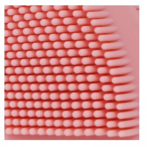 แปรงใบหน้า