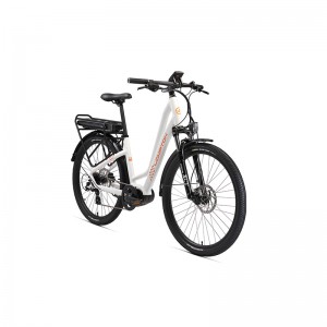 ลิมูซีน 600