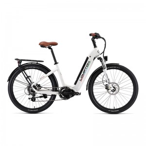 ปลาโลมา