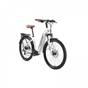 ปลาโลมา