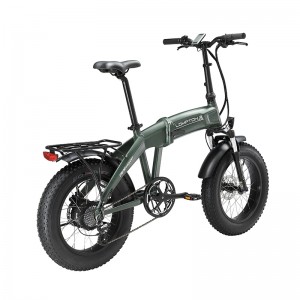 เสือดาว