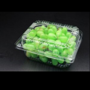 กล่องผลไม้พร้อมฝา 195*155*85 มม. HGF-650