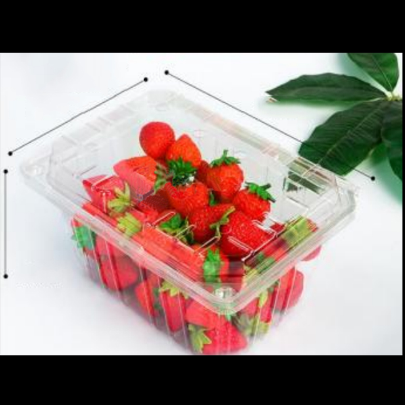 กล่องผลไม้พร้อมฝา 210*155*100 มม. HGF-950A