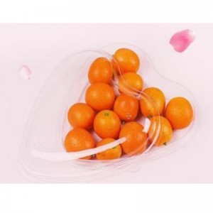 Cardioid Box Transparent Bottom 185*45 มม.