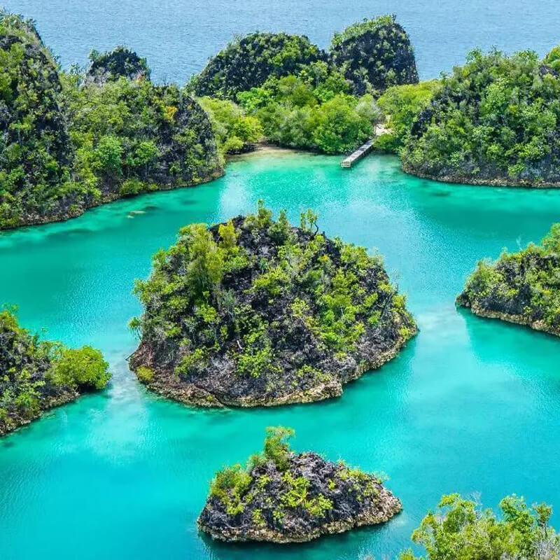 แผ่นดินไหว 7.1 ขนาดได้โจมตีนิวซีแลนด์ตะวันออกเฉียงเหนือ