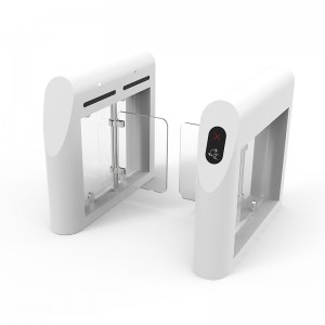 ประตูโทมัสสวิง