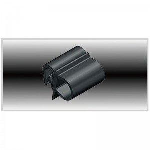 อนาคตของแมวน้ำยาง: แนวโน้มและโอกาส