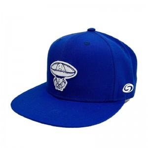 หมวกใหม่ที่ขายขายส่งแบรนด์ฮอตหมวก 6 แผงฮิปฮอป snapback หมวกหมวก
