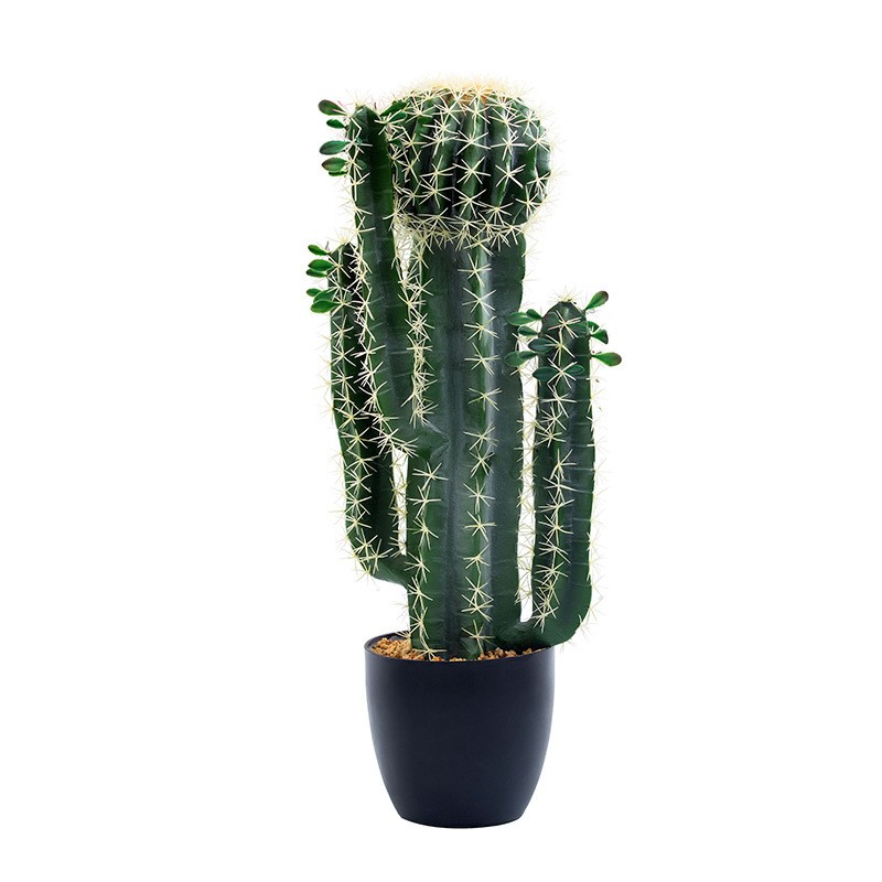 การตกแต่งที่กำหนดเองคุณภาพสูงขนาดใหญ่ Cactus Cactus Cactus Plants
