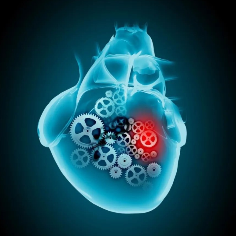 ความคืบหน้าการวิจัยของ NAD+ในการรักษาโรคหัวใจและหลอดเลือด