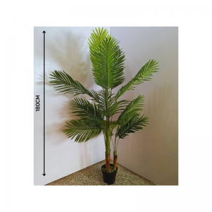 พืชแบคซิก