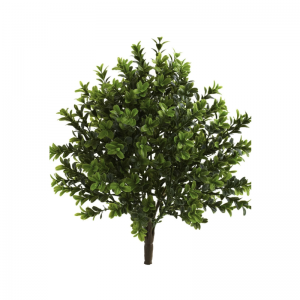 ฝ่ามือสัมผัสจริง(ในร่ม&กลางแจ้ง)