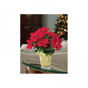 พืชวันหยุดประดิษฐ์